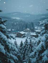 冬日北海道｜在雪與溫泉的童話裡，邂逅北國的溫柔詩篇