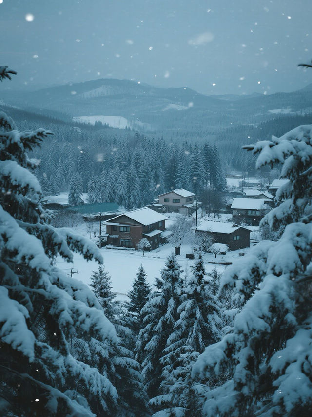 冬日北海道｜在雪與溫泉的童話裡，邂逅北國的溫柔詩篇
