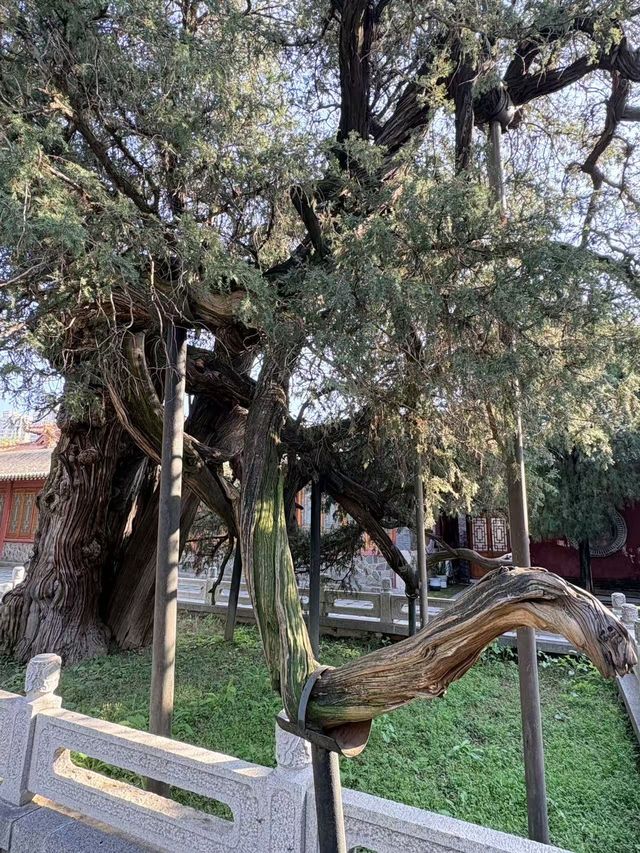千年皇家廟宇美哭你岱廟