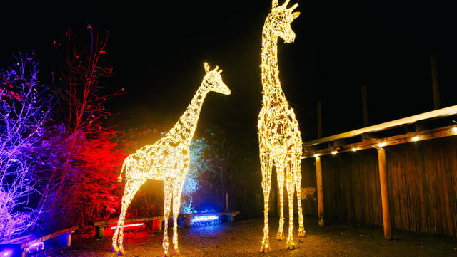 諾斯利野生動物園奇幻之旅：魔法聖誕燈光秀