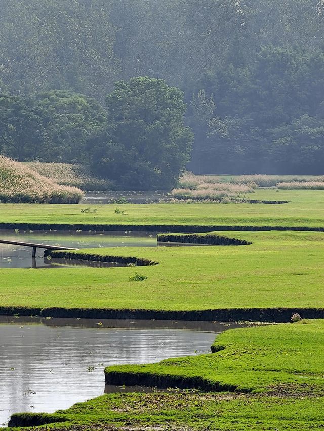 泰州溱湖濕地公園,真實體驗及攻略解析 泰州溱湖濕地公園,真實體驗及攻略解析
