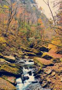 這個季節的黎坪簡直就是童話世界