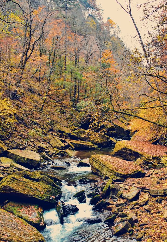 這個季節的黎坪簡直就是童話世界