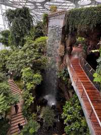 魔都慢生活圖鑑:世博文化公園的治癒時光