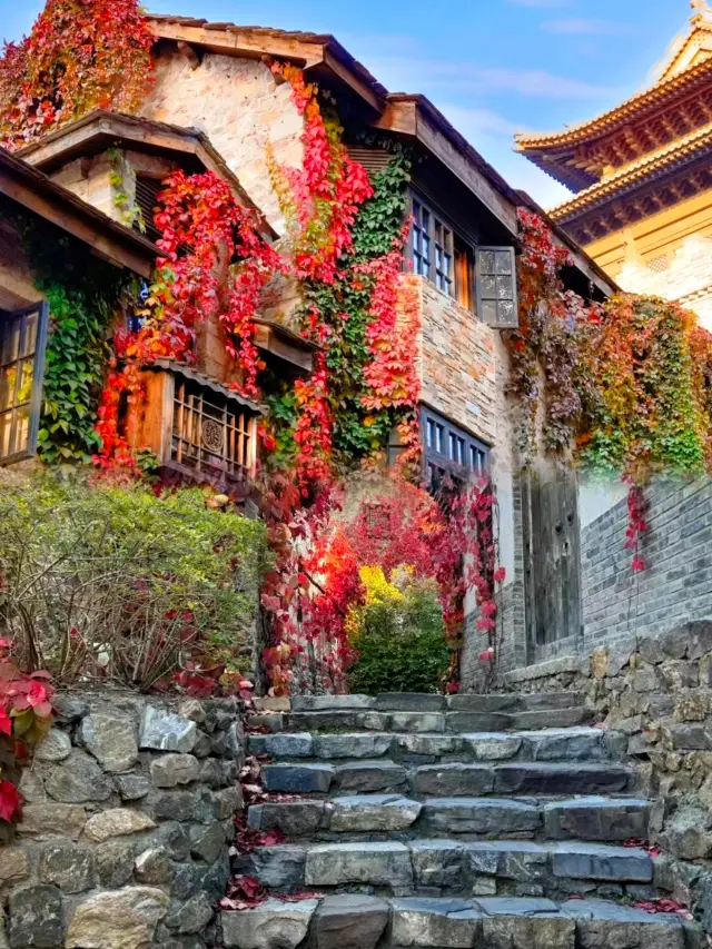 Autumn Exclusive! Just 1 Hour from Beijing to the "Little Kyoto" Ancient Town, Where the Red Leaves Are Stunningly Beautiful!