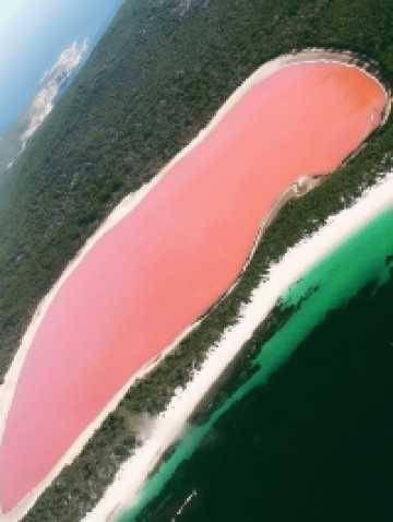 澳洲包車必打卡景點清單來了