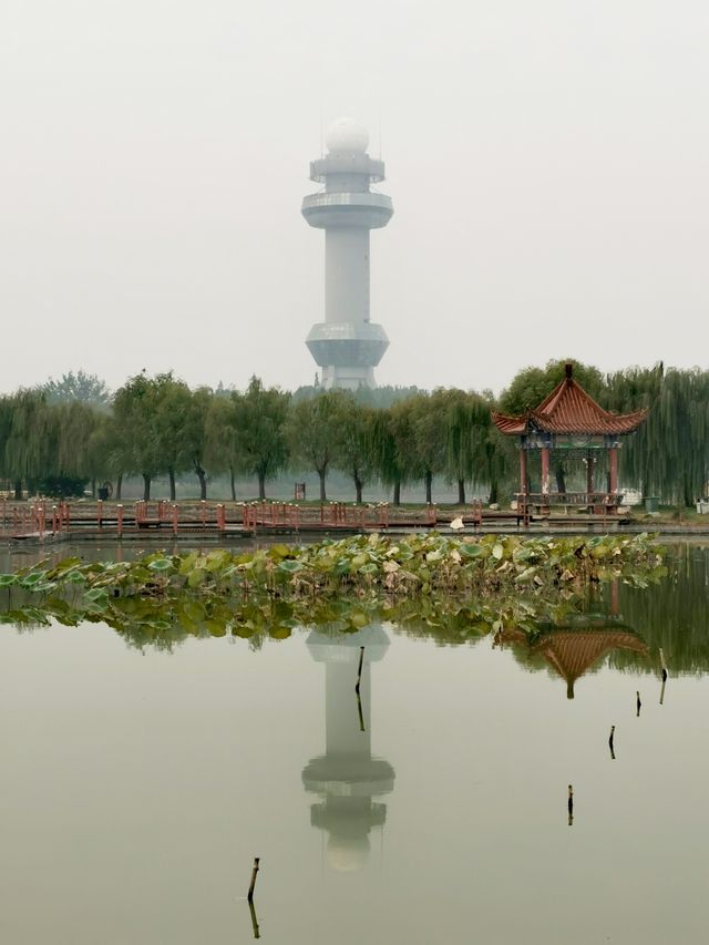 【河南省濮陽市】濮上園景區。