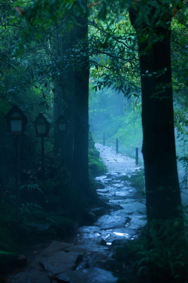 青城山深山秘境避世度假泡湯staycation~~