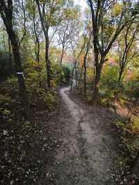 天津南翠屏｜秋日限定！層林盡染美到窒息