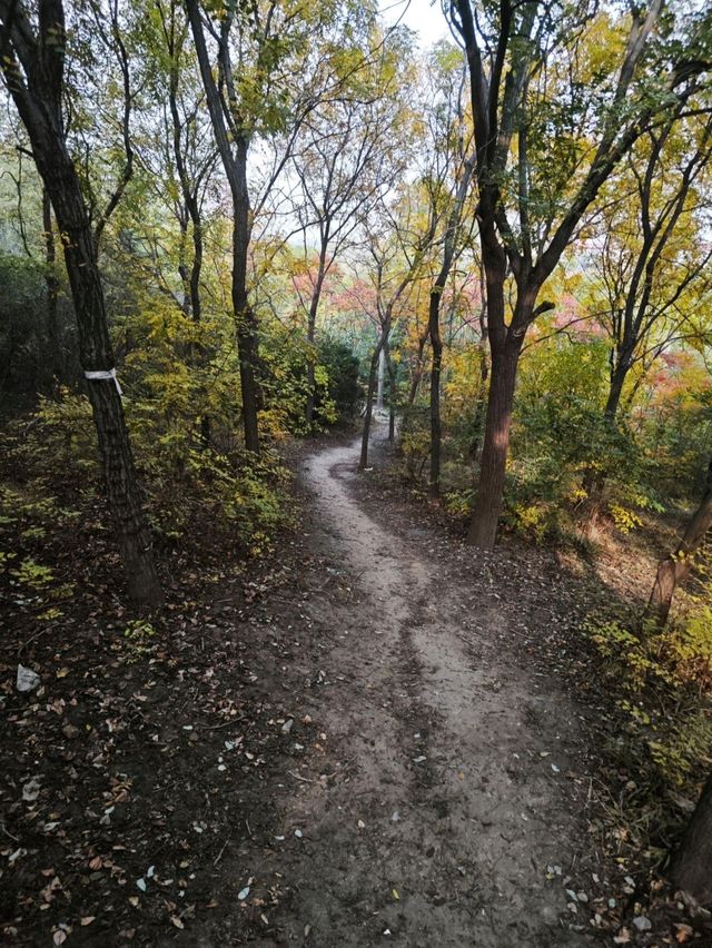 天津南翠屏｜秋日限定！層林盡染美到窒息