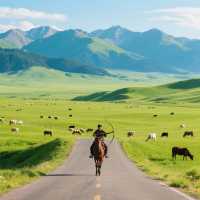 開啟這場夢幻的青海之旅吧