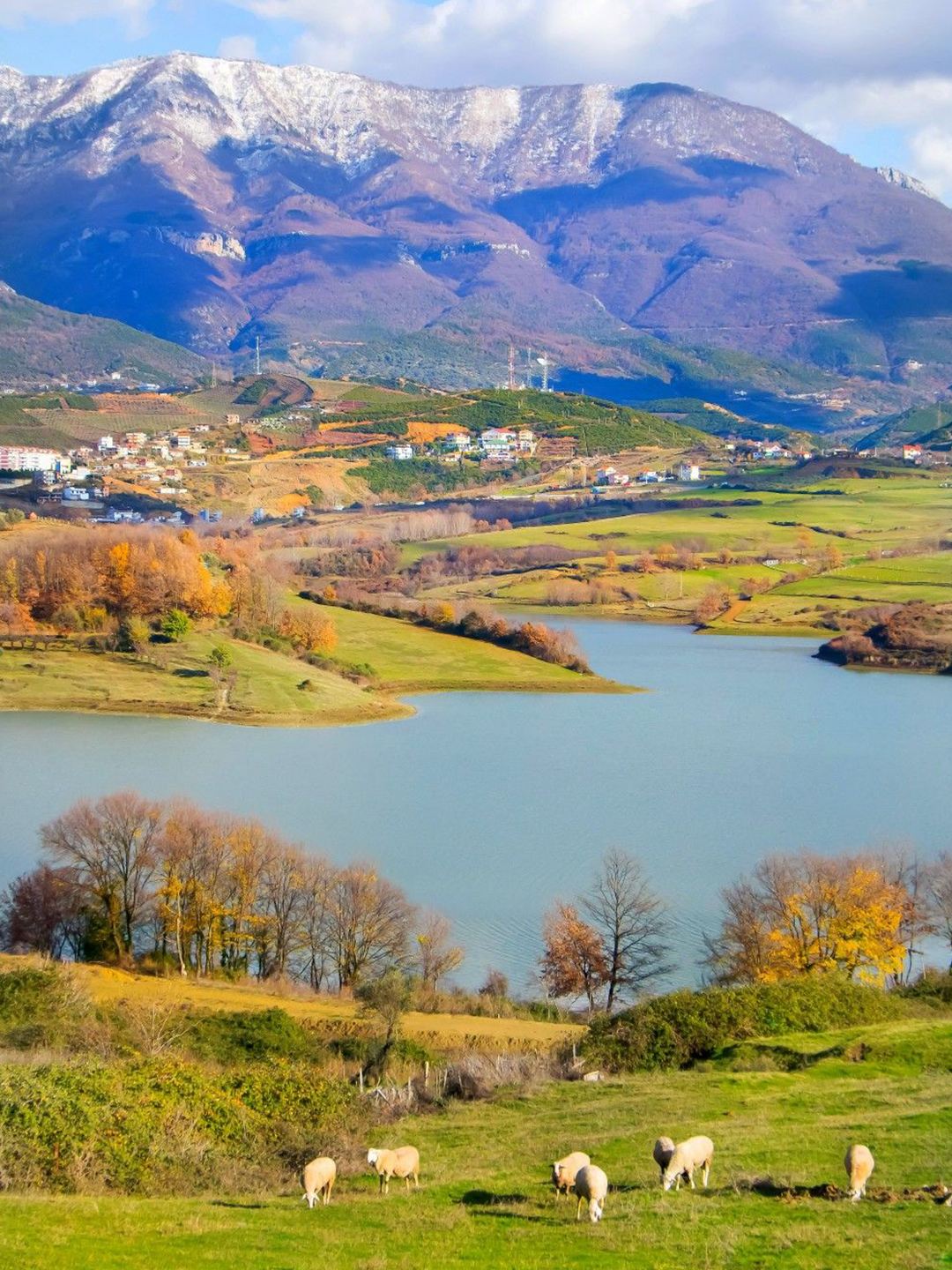 Tirana: Thành phố sắc màu, tinh thần tự do của vùng Balkan