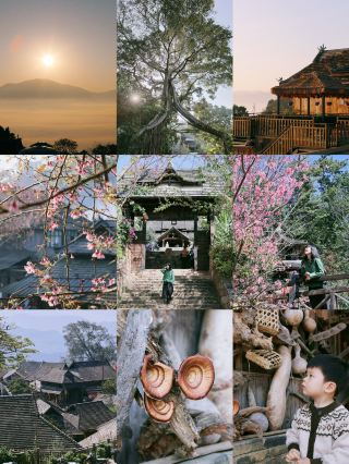 Slow Time in Manghong and Wengji of Jingmai Mountain, 1-Day Tour Guide to the Ancient Cloud Village