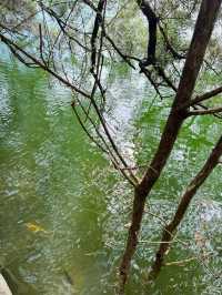 江門圭峰山|綠湖如碧玉嵌翠嶺 環湖暢遊醉氧吧