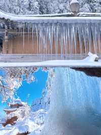 樂山-眉山|冬遊保姆攻略速碼住