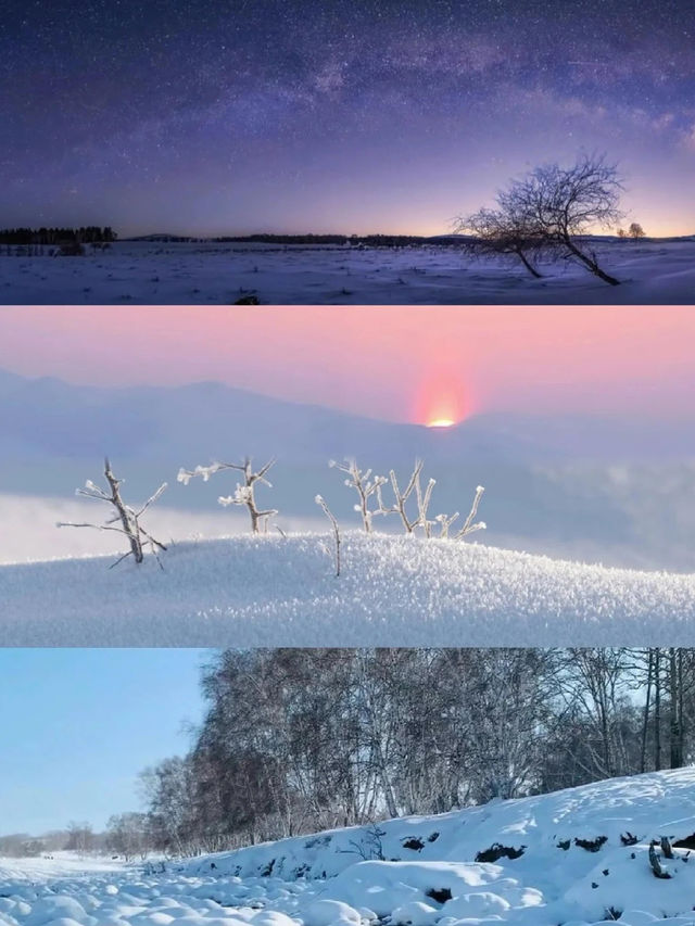 烏蘭布統雪原絕了人少景美的冬日童話世界！