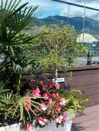 雪山下的屋頂秘境