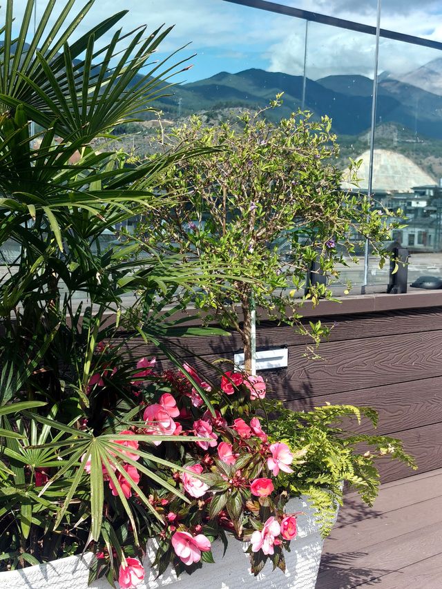 雪山下的屋頂秘境