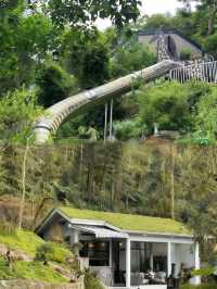 廣州從化獨棟山野小院,青瓦鑲綠意,美到想哭