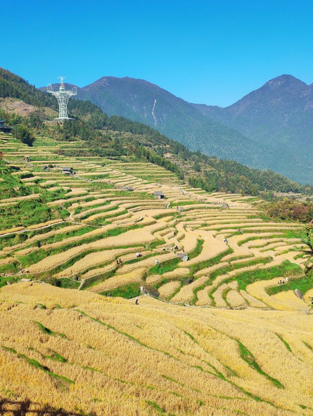 雲和梯田 雲和梯田