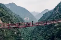 旗山森林公園徒步偶遇猴哥!20km古道+網紅