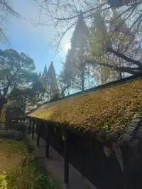 都江堰靈巖寺最容易領的獎牌