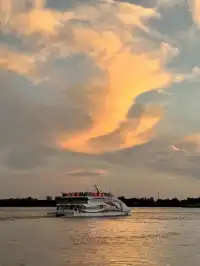 蕪湖花最值6元 輪渡江景直接封神