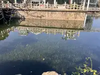 上海植物園！藏在市區的森林秘境