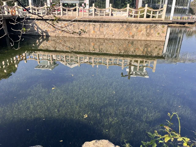 上海植物園！藏在市區的森林秘境