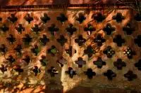 這一刻,沒有比飛雲崖更懂秋天的氣息