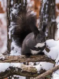 再吃，再吃就把你拍下來，放到網上去！