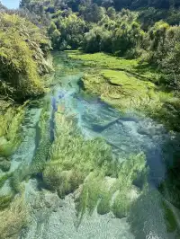 奧克蘭北島一日遊｜奧克蘭自然風景必打卡