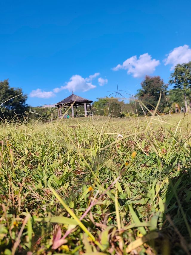 普洱避世秘境闖入宮崎駿的綠野仙蹤