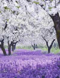 宿遷設計師酒店+商圈C位,環境設施全在線