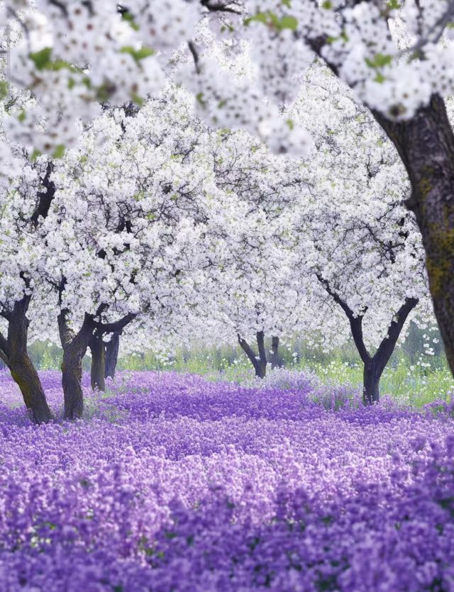 宿遷設計師酒店+商圈C位,環境設施全在線 宿遷設計師酒店+商圈C位,環境設施全在線
