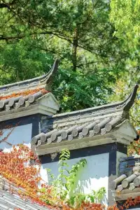 千島湖冬日色卡|高級感直接拉滿,太出片!