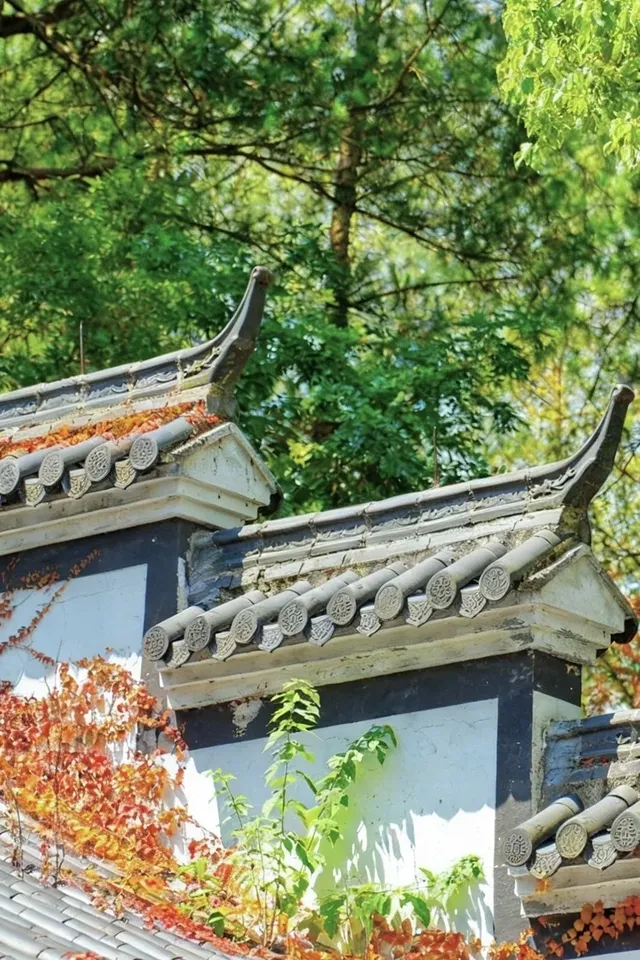 千島湖冬日色卡|高級感直接拉滿,太出片! 千島湖冬日色卡|高級感直接拉滿,太出片!