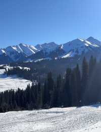 庫爾德寧自駕全攻略