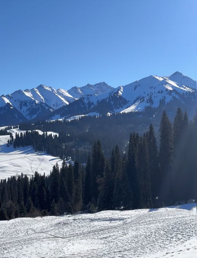 庫爾德寧自駕全攻略 庫爾德寧自駕全攻略