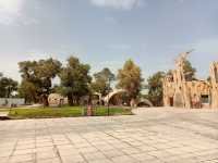 塔里木胡楊林公園