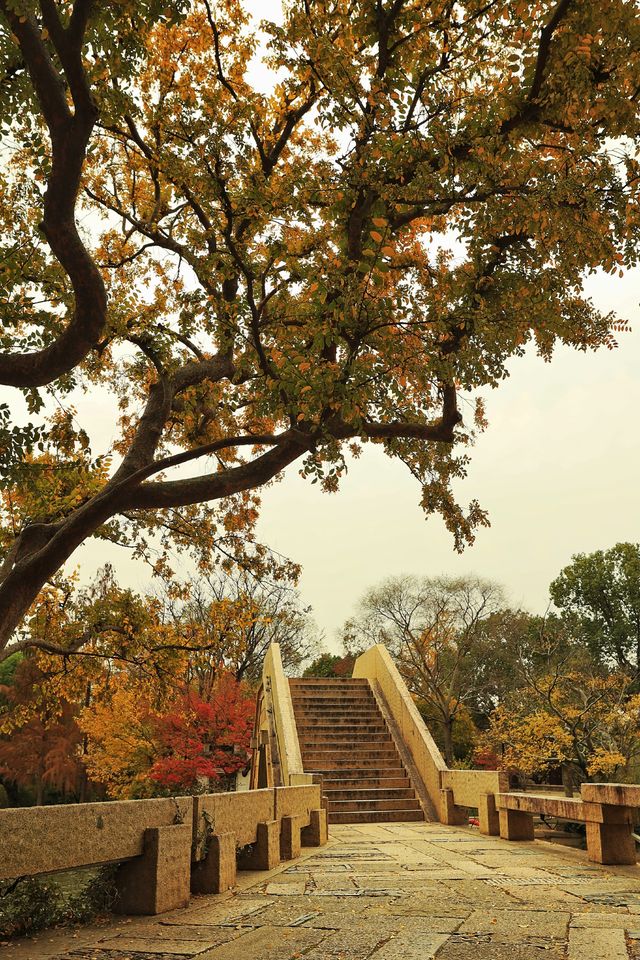 廣富林的深秋中式美學達到巔峰! 廣富林的深秋中式美學達到巔峰!