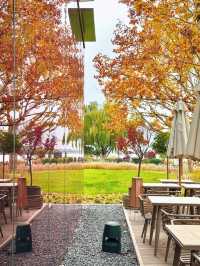 陰天也別有風味!金雞湖秋色已美成油畫