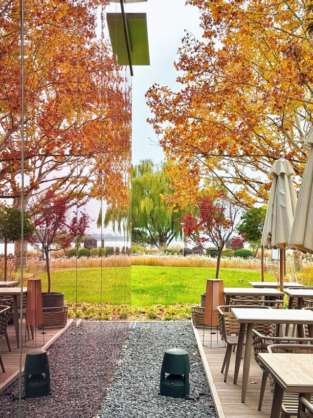 陰天也別有風味!金雞湖秋色已美成油畫 陰天也別有風味!金雞湖秋色已美成油畫