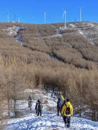 零下15°C勇闖樺皮嶺這份徒步攻略必須碼住!