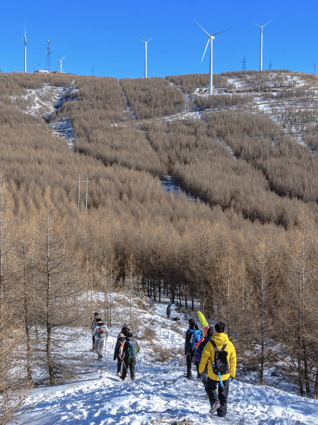零下15°C勇闖樺皮嶺這份徒步攻略必須碼住! 零下15°C勇闖樺皮嶺這份徒步攻略必須碼住!