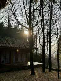 山間有明月 | 住進都江堰的四季畫框裡