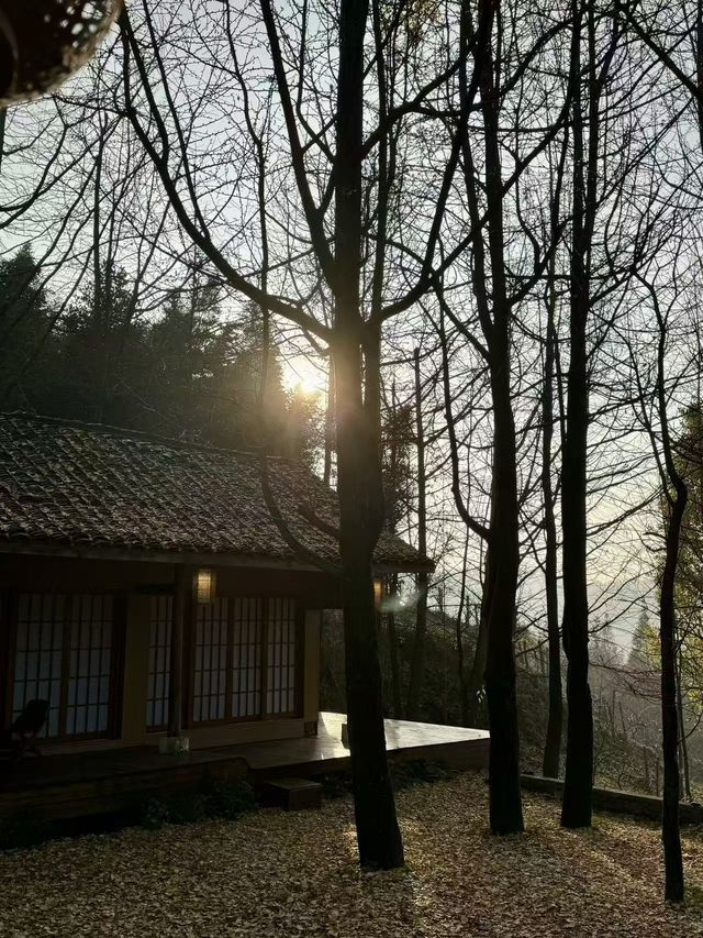 山間有明月 | 住進都江堰的四季畫框裡