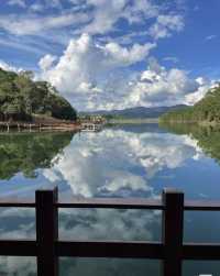 雲南普洱|「梅子湖公園」城市裡的天然氧吧