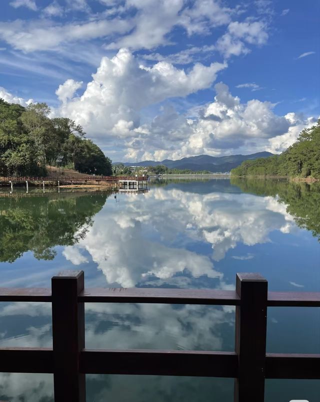 雲南普洱|「梅子湖公園」城市裡的天然氧吧 雲南普洱|「梅子湖公園」城市裡的天然氧吧