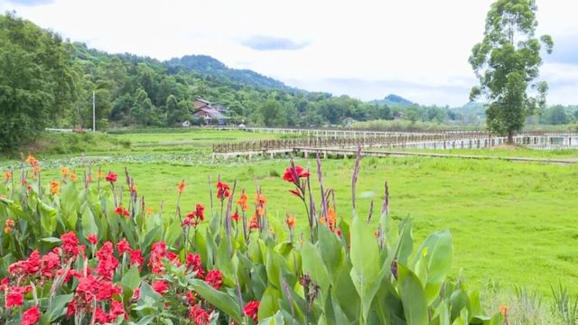 【隱藏的世外桃源】豐禾讓水湖讓你一秒鐘愛上這片藍天碧水 【隱藏的世外桃源】豐禾讓水湖讓你一秒鐘愛上這片藍天碧水